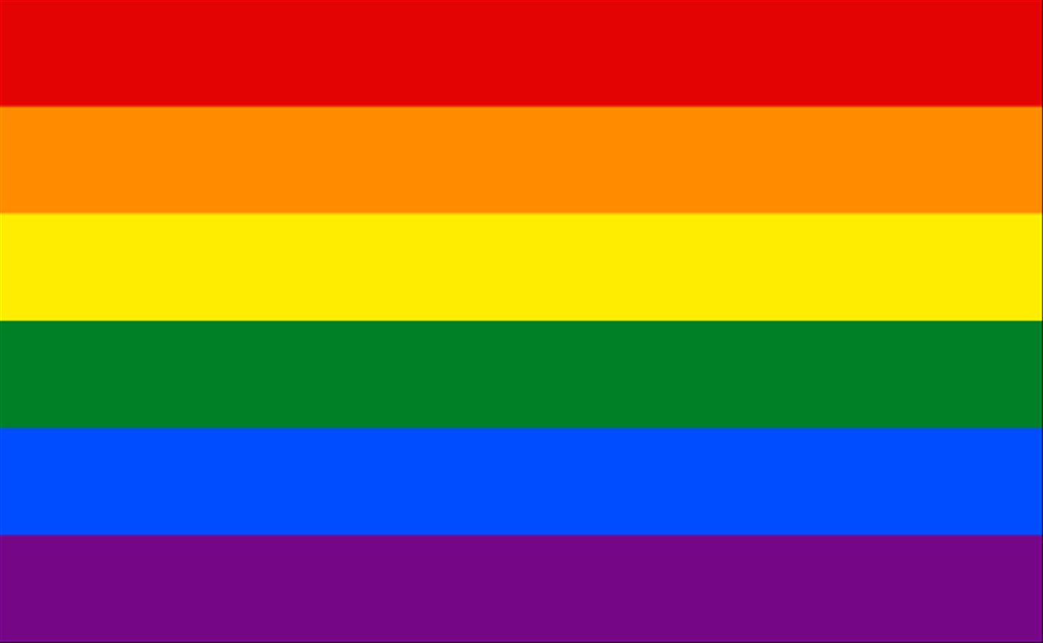 lgbtq pride flags-Gay Pride Flag
