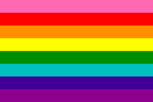 Gay Pride Flag 1978