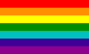 Lgbt Pride Flags- Gay Pride Flag 1978–1979
