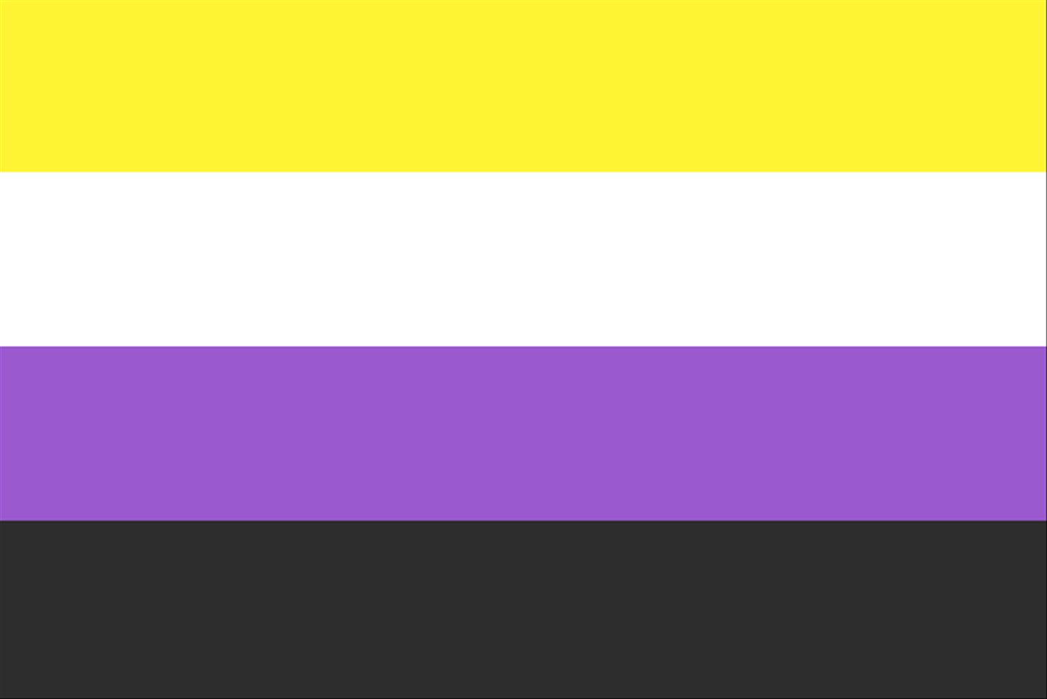 Lgbt Pride Flags-Non-binary Pride flag