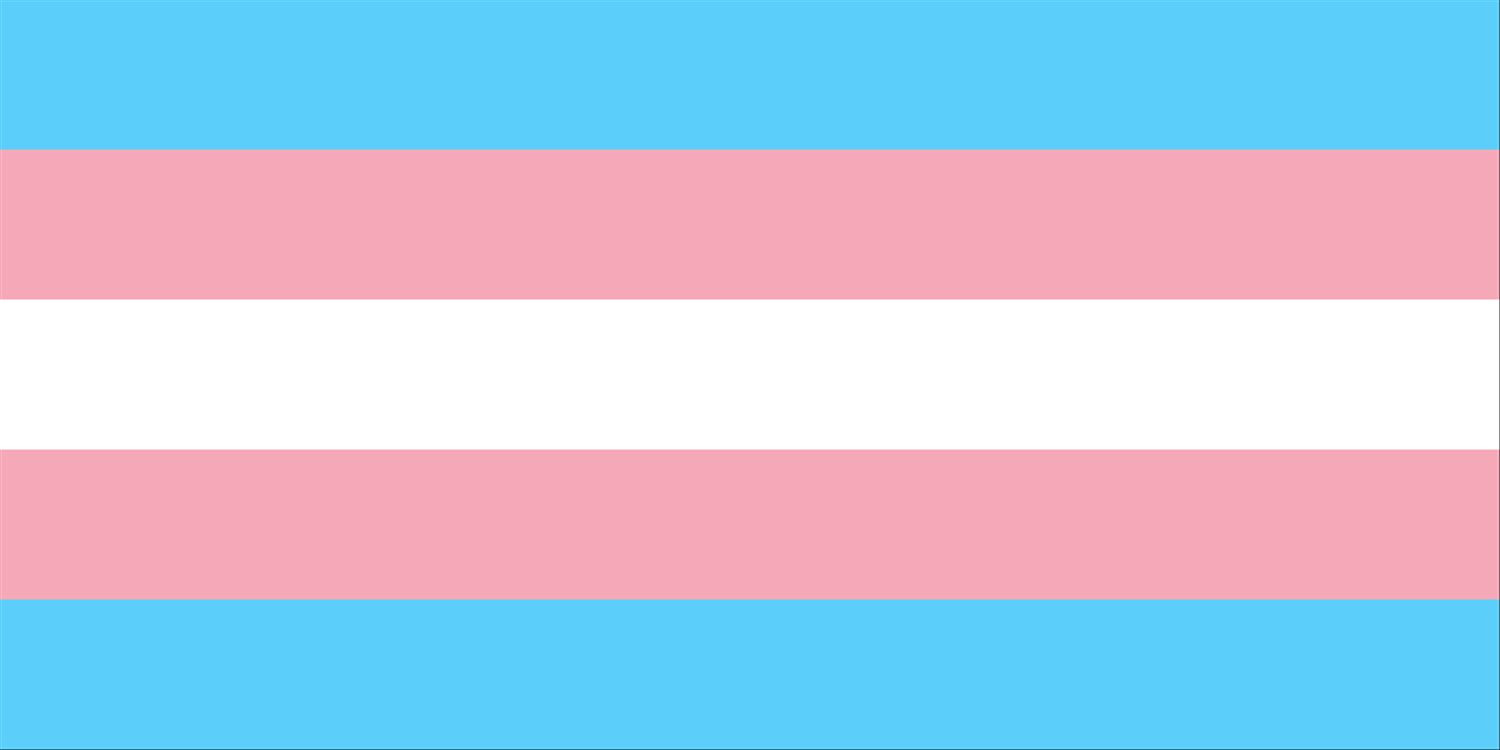 Lgbt Pride Flags-Transgender pride Flag