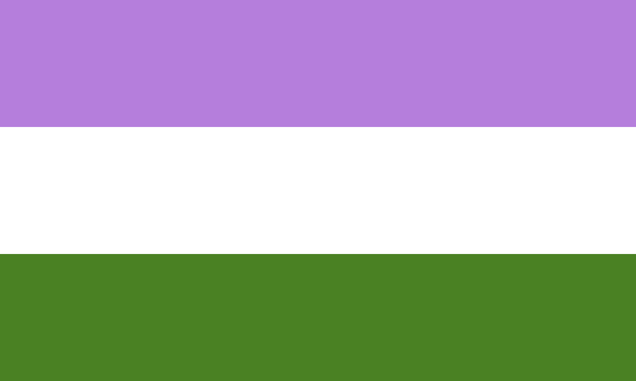 lgbt Pride Flags- Genderqueer Pride flag